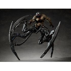 Spider robot